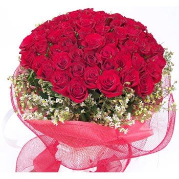 Bouquet of 4 dozen red roses with red net packing.