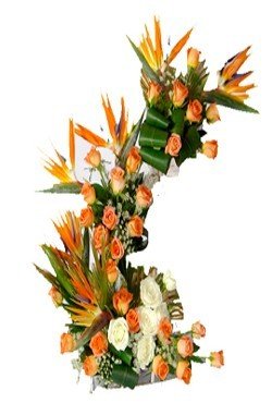  A designer arrangement of Bird of Paradise, Roses and pretty carnations
 Arranged in wooden basket
 Arranged with 45+ Flowers
Free message Card