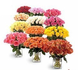  12 Arrangements of 20 Roses each in a Flower VASE
 Total no of Roses- 240 (12 Flower VASE)
 Free Message Card