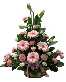 Basket of 24 Flowers (Incl Gerbera, Roses and Carnation)