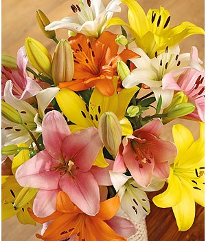  10 Stem Exotic Colorful Lilies bouquet
 Free Message Card