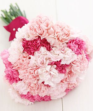 25 Mixed Carnations Bouquet
 Free Message Card