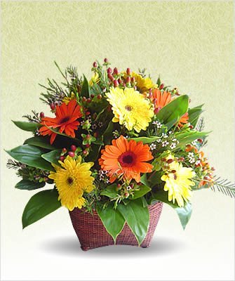 12 Mixed Gerbera Round Basket with lots of green fillers
 Free Message Card