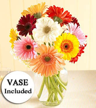  12 Mixed gerberas
 Arranged in Flower Vase
 Free Message card