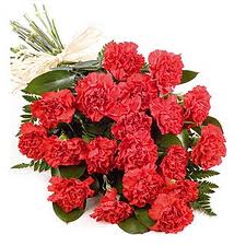 18 Red Carnations bouquet.