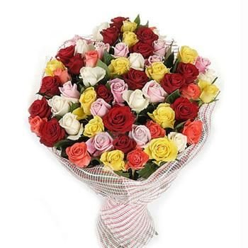 Bunch of 40 Multi-Color roses wrapped nicely in cellophane sheet packing.