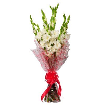  10 Stem Gladiolus Bouquet 