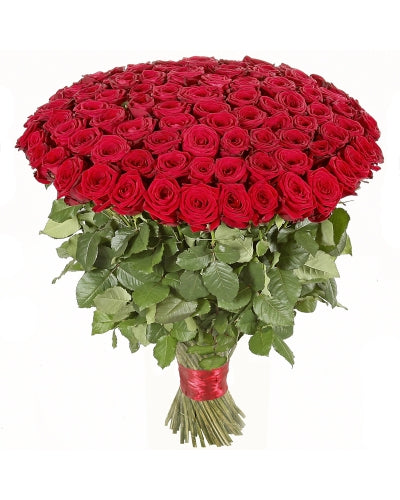  Bunch of 100 quality Red Roses
