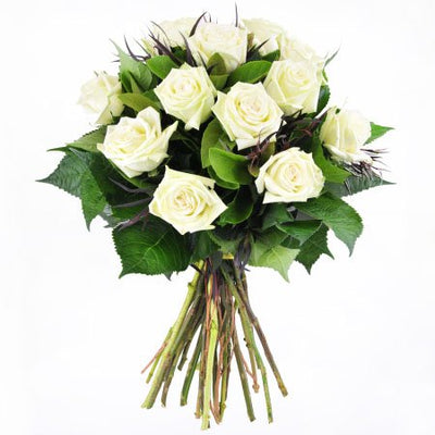Dozen pure white roses bouquet