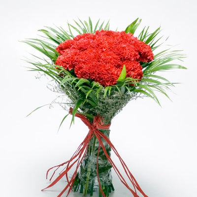  15 Stem Pure Red Carnations Bouquet.
 Free Message Card