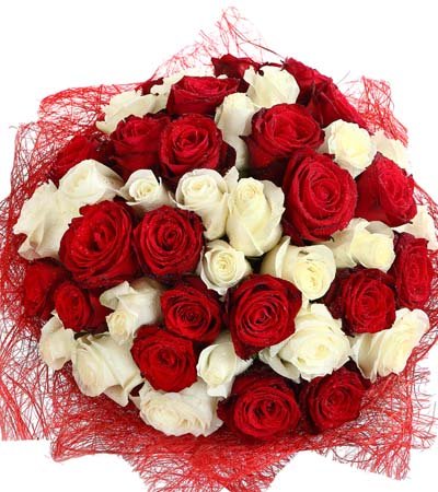  Premium 36 Stem White and Red Rose Bouquet.
 Free Message Card