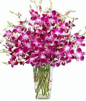 20 purple orchids bouquet. (Add VASE from the below options) Free Message card