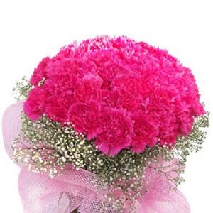 Three Dozen Pink Carnations hand bouquet.