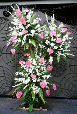  Premium flowers like Pink Anthurium and White Sonia Orchids
 Flowers: 90-100 Stems
