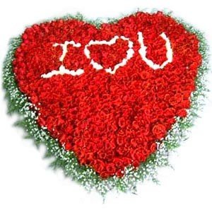  500 premium roses arrangement in HEART shape
 Written "I Love U" in the center with white roses.