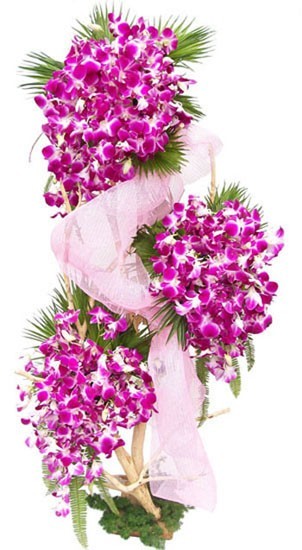 Three tier arrangement of purple Orchids with 75 stem arranged nicely with the help of stand.
Free Message card