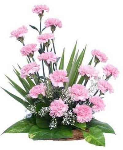 Basket arrangement of 16 Pink Carnations