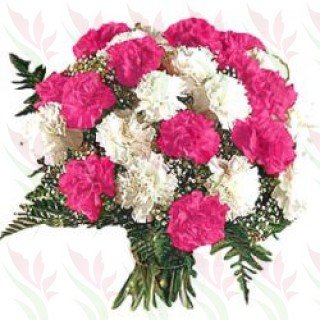 Bouquet of 24 Pink and White Carnation