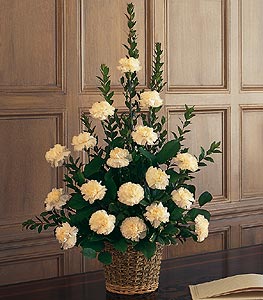  20 stem white carnations Basket arrangement.