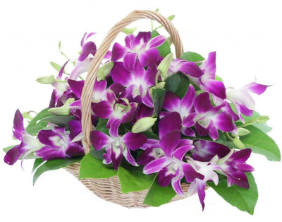 15 Stem Purple shade orchids nicely arranged in a wooden basket.