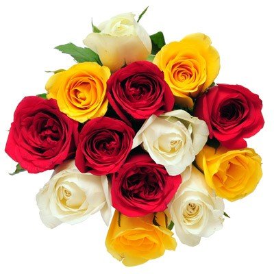 Bunch of 12 mixed color roses