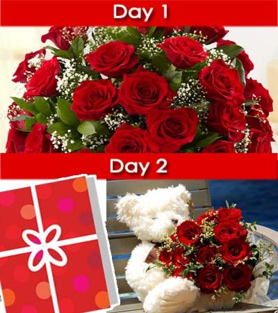 Day-1: LS 30 Red Roses bouquet wrapped nicely in cellophane sheet.
Day-2: 12 inch cute Teddy bear along with Dozen Red Roses bouquet and a Occasional Greeting Card.