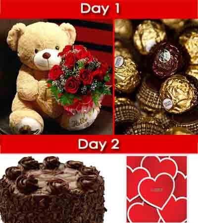 Day-1: Cuddly Teddy bear (aprx 2 Feet), 12 stem Red Roses bouquet wrapped nicely in cellophane and Ferrero Rocher Chocolate box (16 pcs)
Day-2: 500 gm dark Chocolate cake and a occasional greeting card.
&#8226 Serves 2-3 People