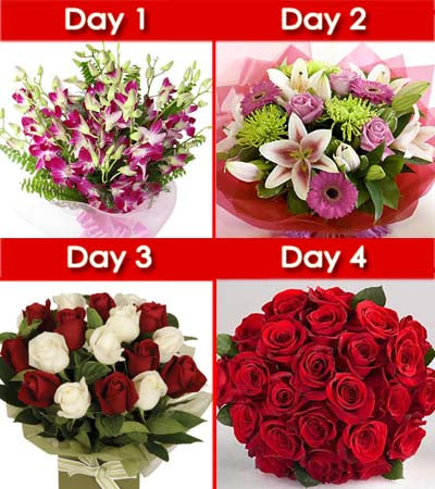 Day-1: Bunch of 10 stem purple orchids wrapped beautifully in cellophane paper.
Day-2: Mixed Flowers bunch of Roses, Lilies & Gerbera (15 Flowers).
Day-3: 20 Red and White Roses bouquet nicely wrapped.
Day-4: 24 Pure LS Red Roses bouquet wrapped in cellophane paper.