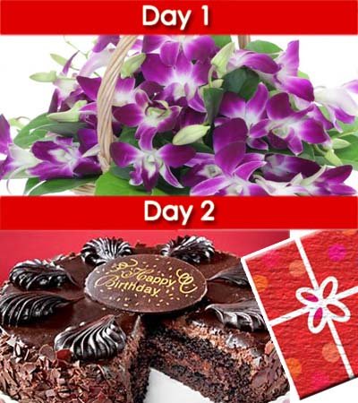 •	Day-1: Bunch of 10 stem purple delight orchids wrapped nicely with cellophane sheet.
•	Day-2: 500 gm dark Chocolate cake with a Greeting Card (Occasional).
&#8226 Cake Serves 2-3 People

