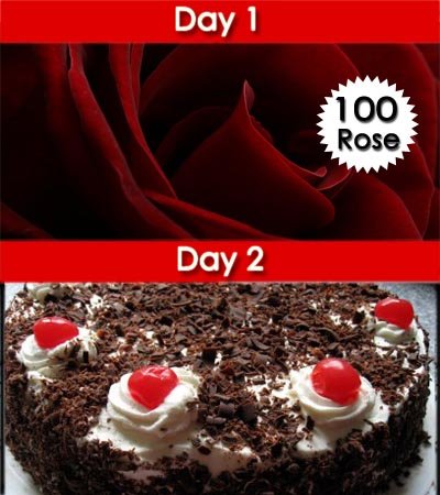 
•	Day-1: Premium Bouquet of 100 Stalk pure Red Roses wrapped beautifully with cellophane paper and red bow on it. 
•	Day-2: 1 Kg Delicious Black Forest Cake from branded bakery. 
•	FREE 10 Red Rose bouquet with cake on 2nd Day.
