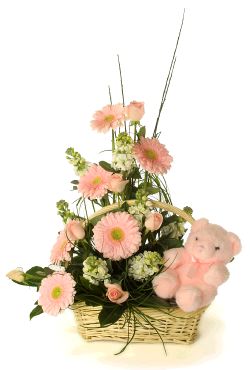  Basket Arrangement of Daisies and pretty carnations
 A cute small teddy bear situated inside the basket
 Free Message Card.