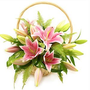  Exotic Pink Lilies wooden Basket arrangement.
 Free Message Card.