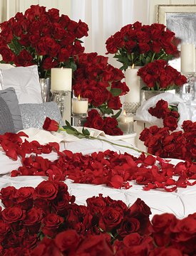  1000 Red Roses Different Arrangements. Contains:
 HEART shape arrangement of 100 Red Roses.
 TWO TIER Luxurious arrangement of 300 RED ROSES.
 Cane BASKET of 200 Red Roses.
 2 x 50 Red Roses Glass VASE (Big) arrangement.
 6 x Round Basket Arrangement 30 Red Roses each + Nice Decoration (Total 180 Roses)
 2 Bowling (HANGING) arrangement of 60 Red Roses Each (Total 120 Roses).

"FREE GIFTS along with this order":
 5 Fragrance Candles + 20 Air Filled Balloons + Big Greeting Card (Occasional)