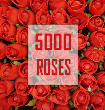# 5000 Roses Hamper - Premium Contains:
 5-6 Hours Continuous Deliveries with different arrangement.
 Total 25 Arrangements (Include 10 BIG Flower VASE, 15 Cane Baskets each with different design)
 Book This order at least 2-3 days prior delivery date. Thanks

# FREE Gifts:
 
 Big Cuddly 2 Feet Teddy Bear (Branded) worth 1695 Rs 
 One Big Archies Greeting Card: Worth 500 Rs
 5 Big Frangrance Candles: Worth 2500 Rs
 Free Message Card 

