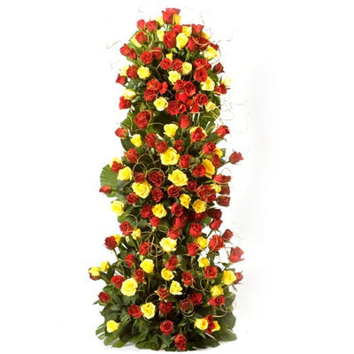  100 stalk of premium Red & Yellow LS Roses arranged with the help of stand with lush green fillers in it.
Height: Aprox 3-4 Feet.