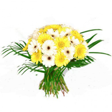 25 Bright Gerbera Bouquet 
 Free Message Card