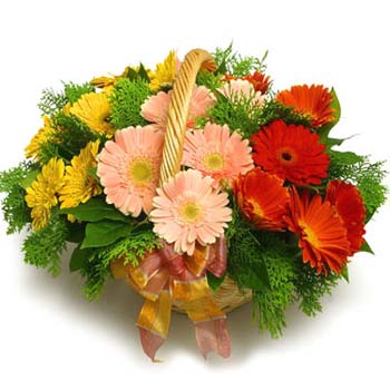  24 Mixed Gerbera
 Wooden basket arrangement with lush green fillers in it
 Free Message Card