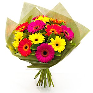  12 Colorful Gerbera Bouquet
 Free Message Card