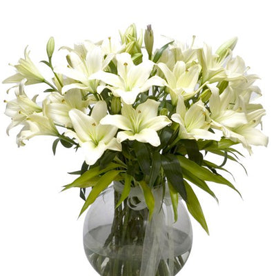  Exotic 10 stem Pure White Lilies 
 Arranged in a Fish Bowl VASE
 Free Message Card