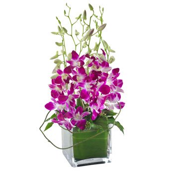  8 Purple orchids Flower Vase.
 Free message card.