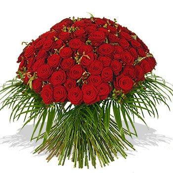•	Bunch of 100 quality Red Roses