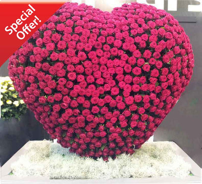  400 Red Roses HEART shape arrangement
 Free Message Card